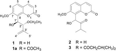 Natural coumarins from Murraya paniculata as mixed-type inhibitors of cholinesterases: In vitro and in silico investigations